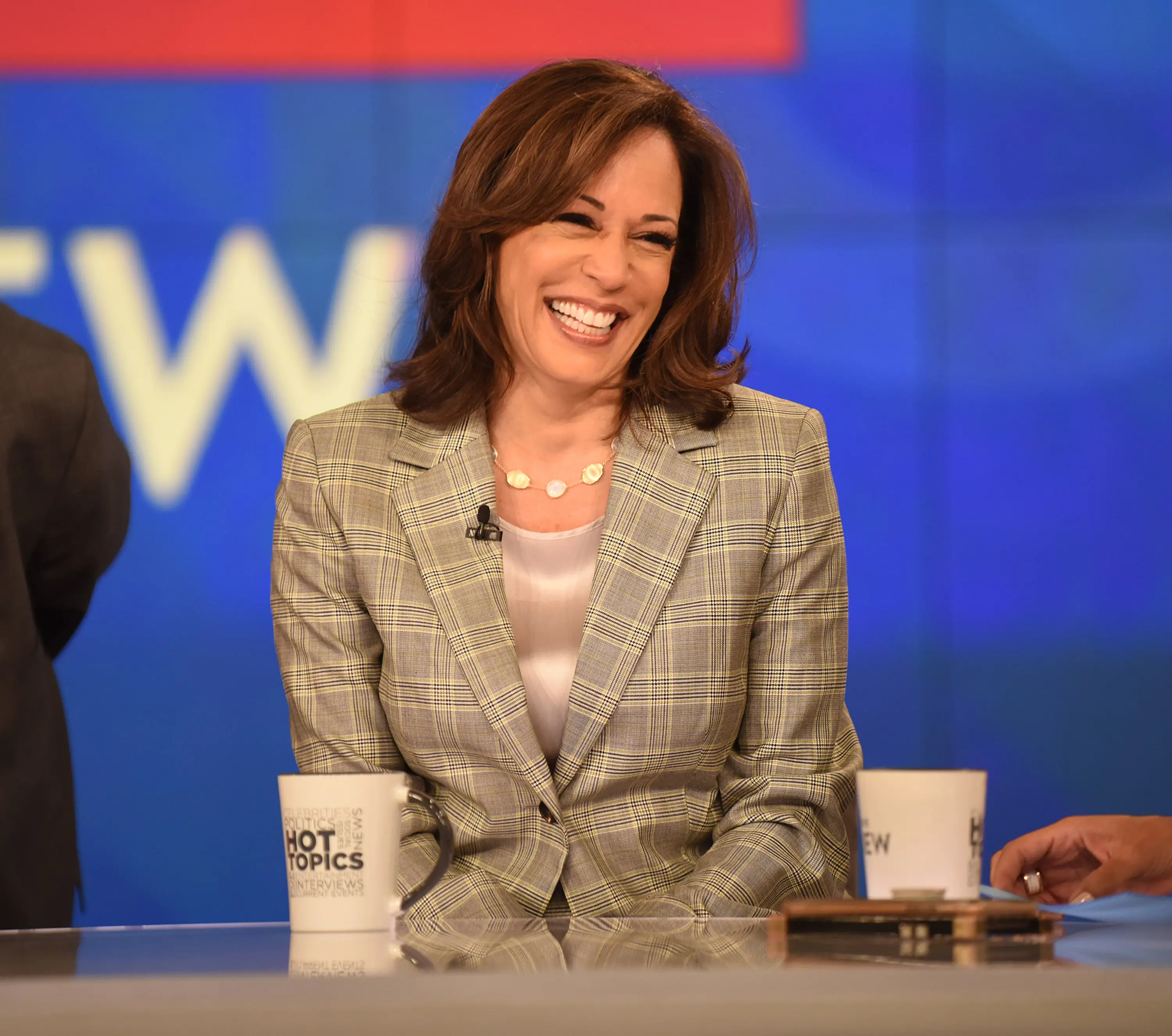 Kamala Harris called Trump a 'con man' (Jenny Anderson/Disney General Entertainment Content via Getty Images)