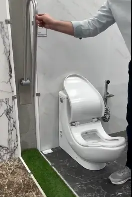 The toilet certainly looks different (Reddit/u/Longjumping-Box5691)