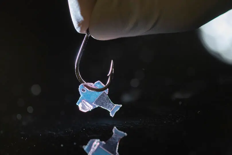 Biohybrid fish on a hook (Michael Rosnach, Keel Yong Lee, Sung-Jin Park, Kevin Kit Parker)