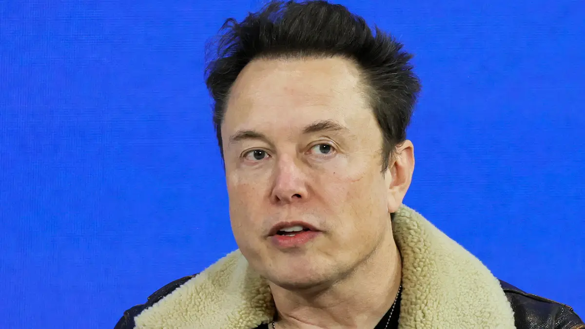 Musk has spoken about the new files (Andrew Harnik/Getty Images)