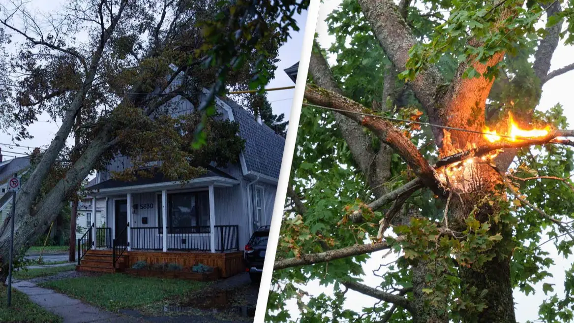 The Canadian Press / meanderingemu / Alamy Stock Photo