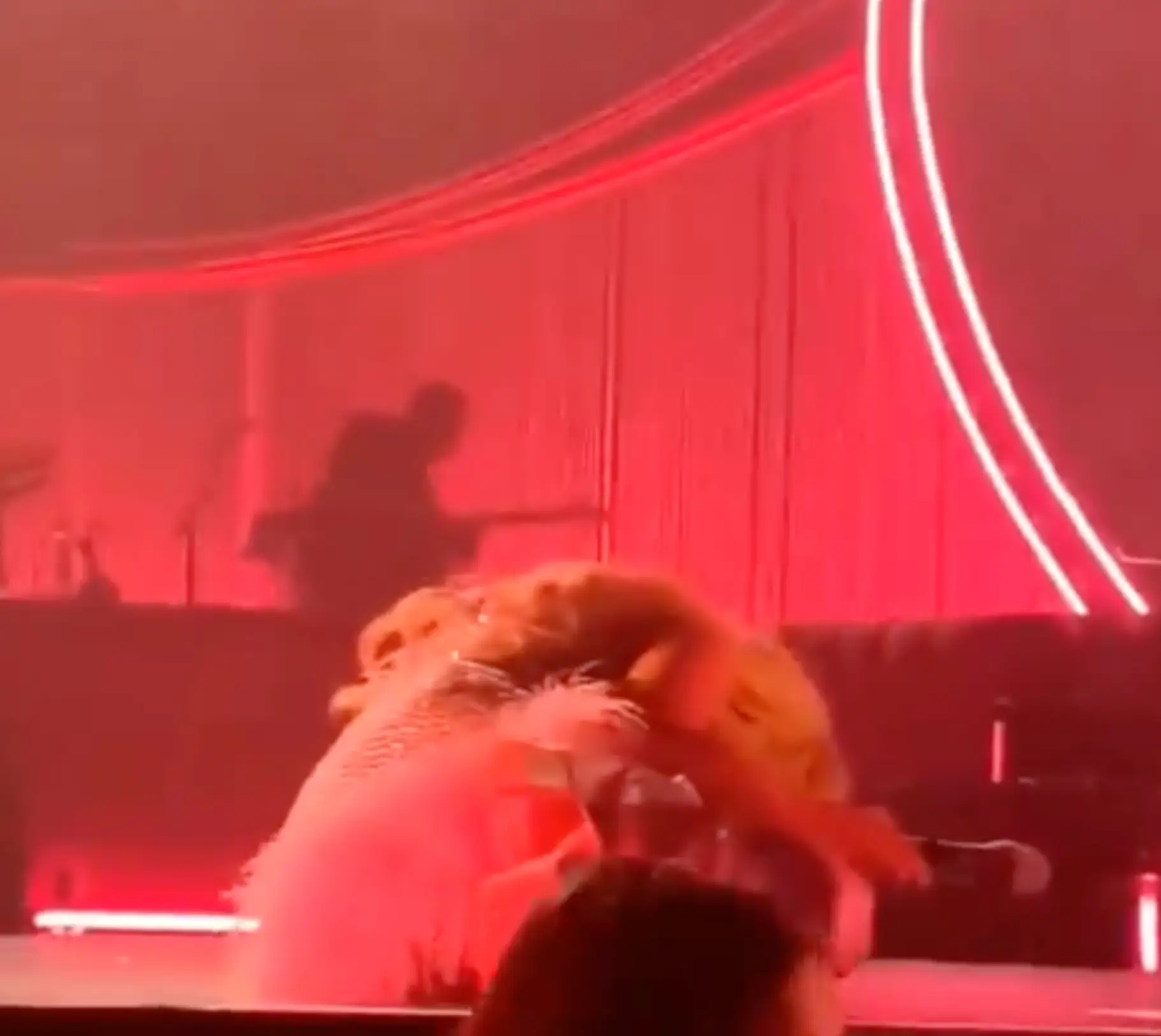 Carpenter was literally floored by the fan's admission. (@InternetH0F/X)