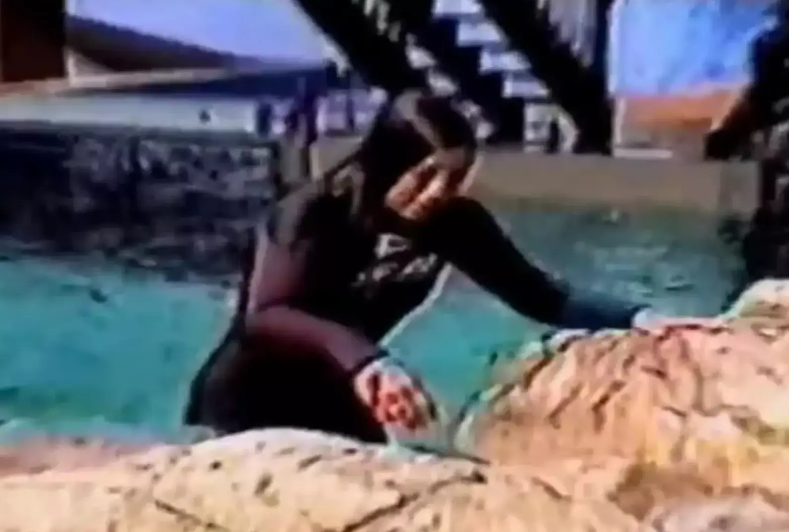 The orcas where eventually distracted by the dominant orca being released.