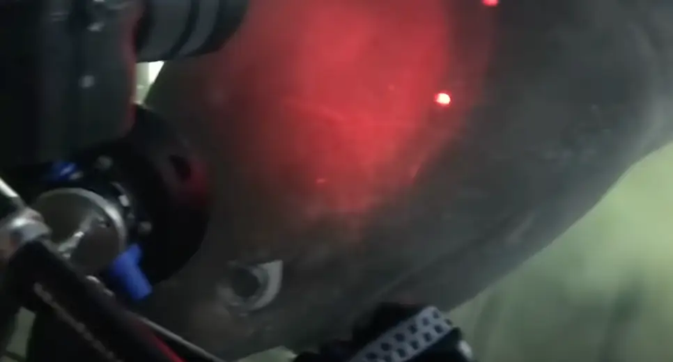 That is the eye that will give you nightmares (Ocean X/YouTube)