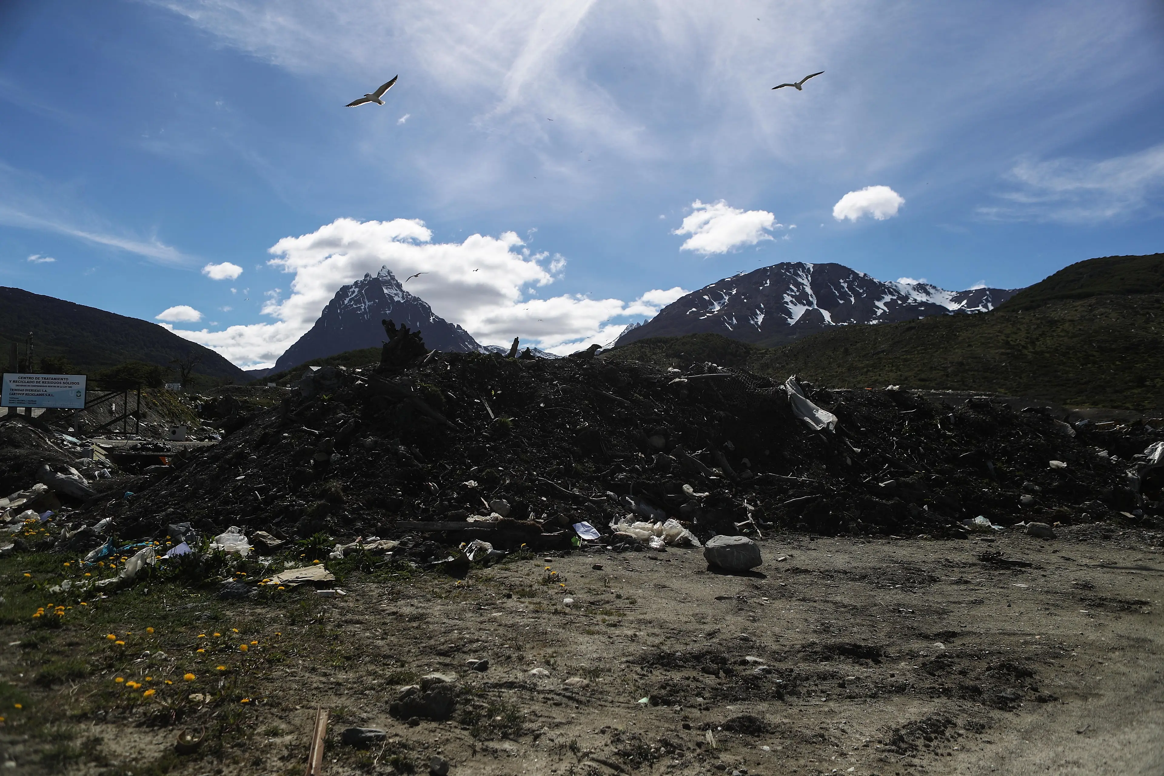 The Argentinian landfill is reportedly a popular bird-watching spot (Mario Tama/Getty Images)