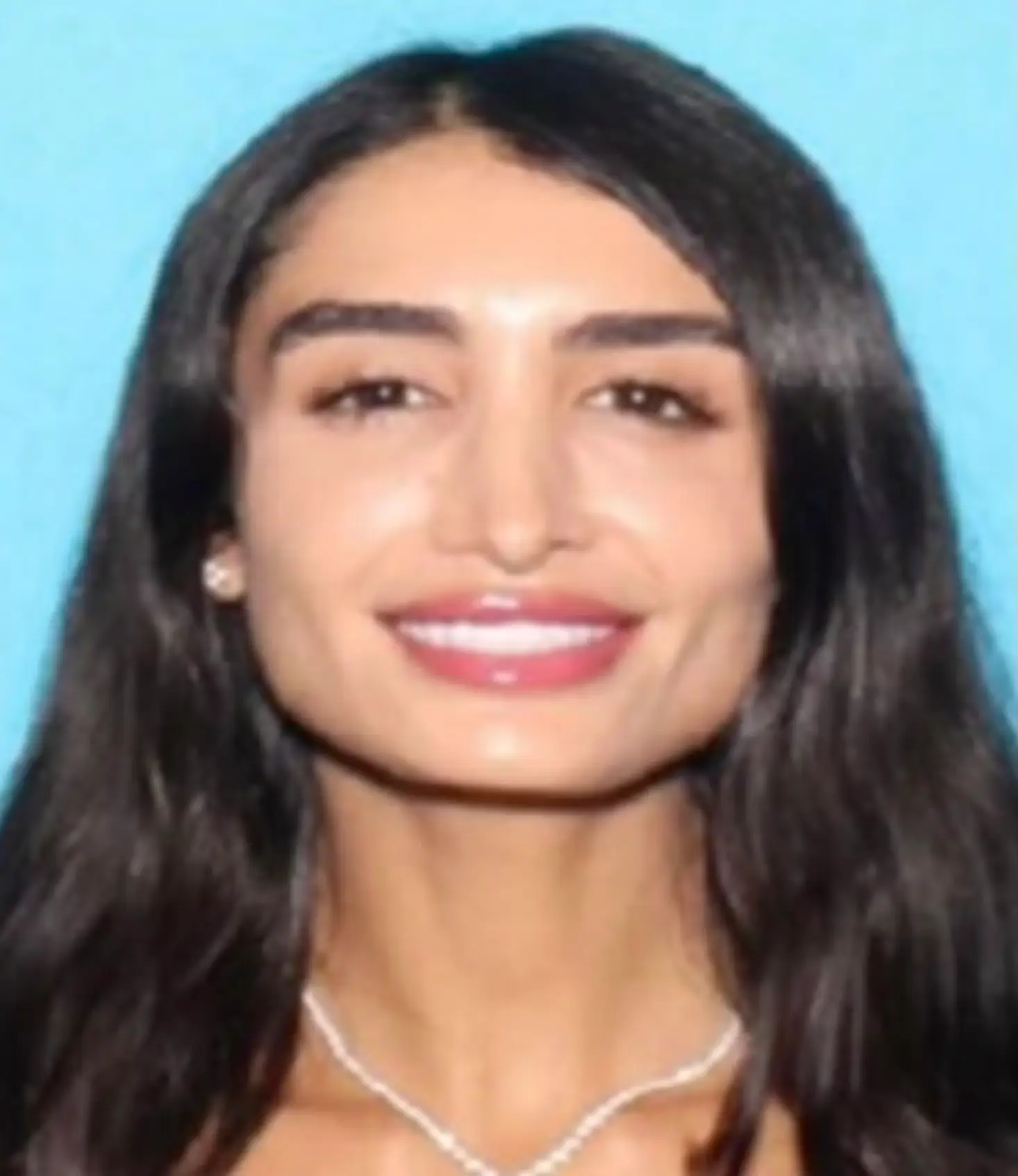 All of the charges are felonies (Los Angeles County Sheriff's Department)