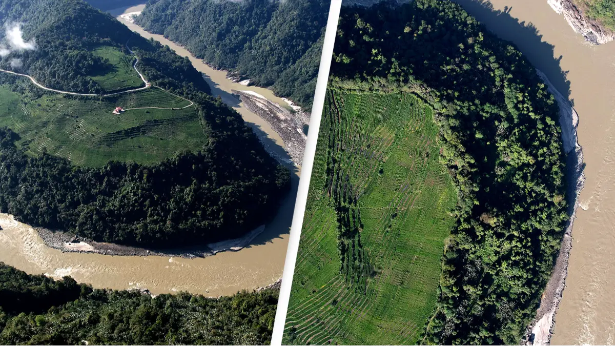 Li Lin/China News Service/VCG via Getty Images