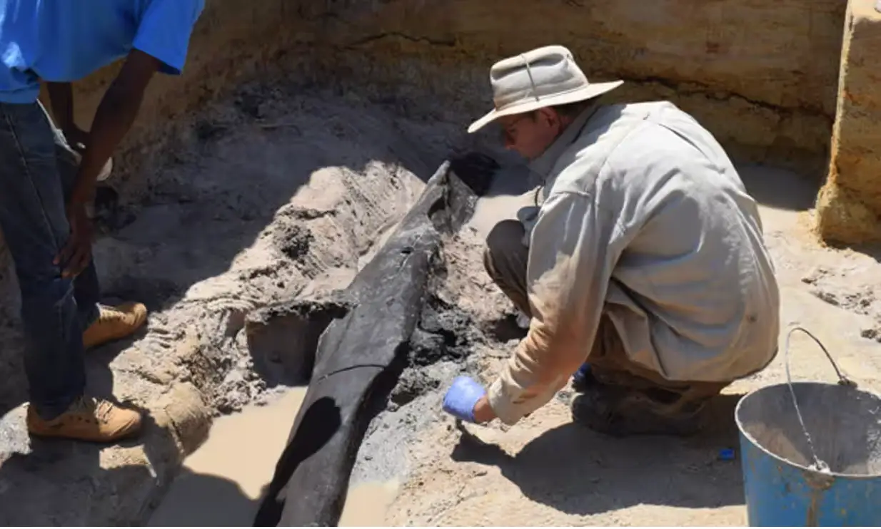 The structure was found by a river on the border between Zambia and Tanzania.