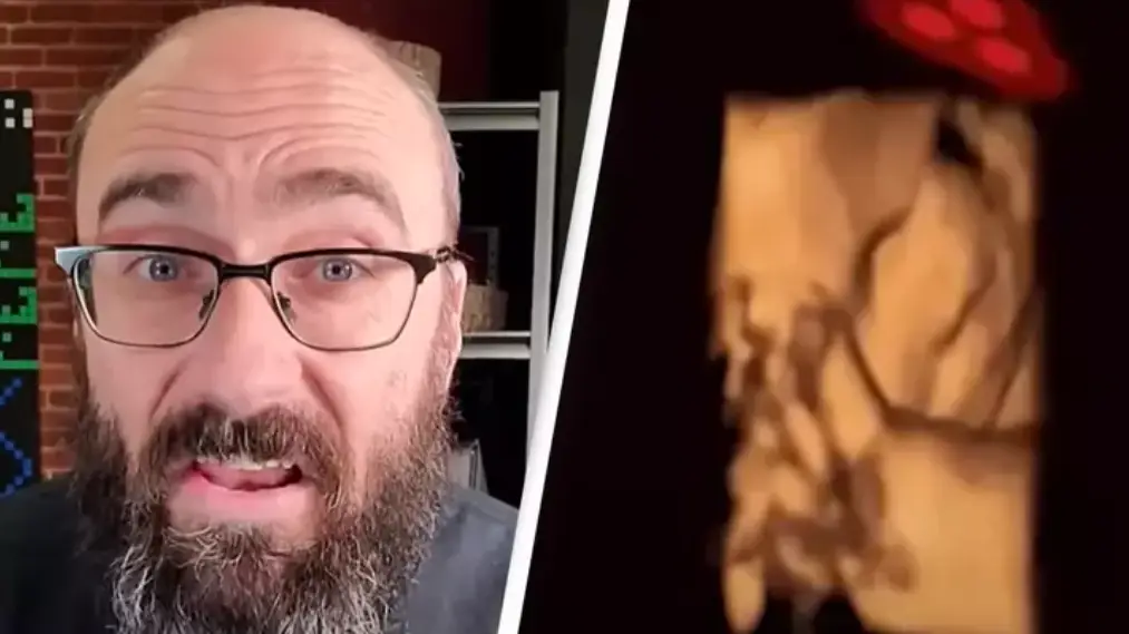 Scientists now know what you saw before you were born