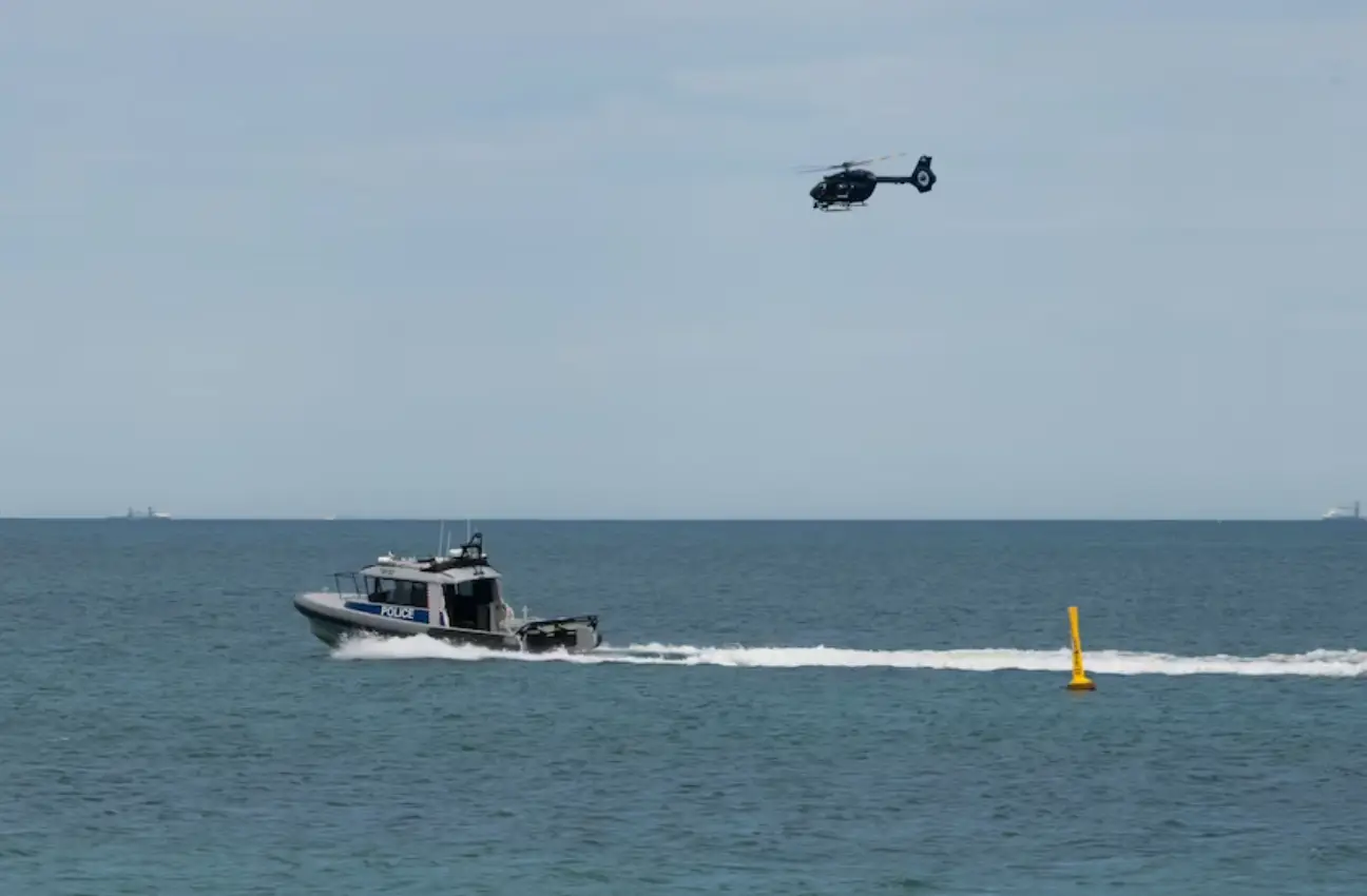 A 'kill the shark' order is now in place (ABC)