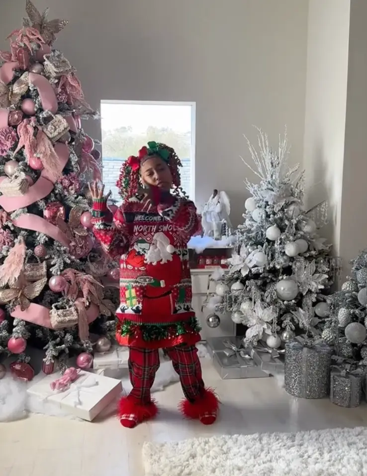 Kim has an array of trees in her home decorated in a range of ways.