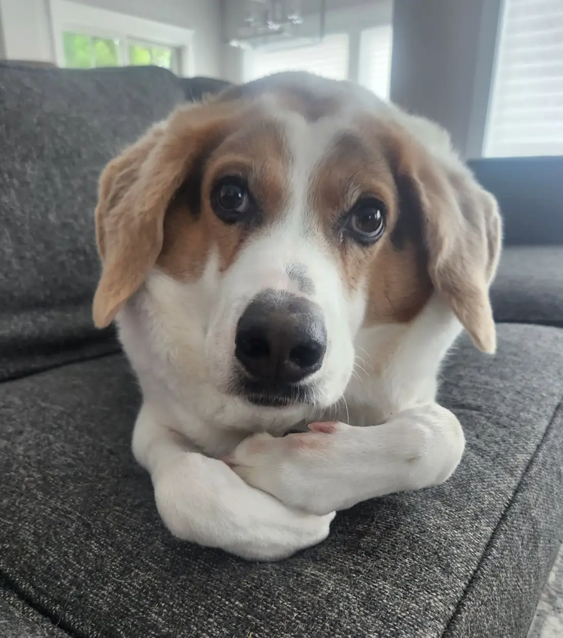 Cooper has an impressive 87,000 followers on Facebook (Cooper - Short On Spine, Big On Love/Facebook)