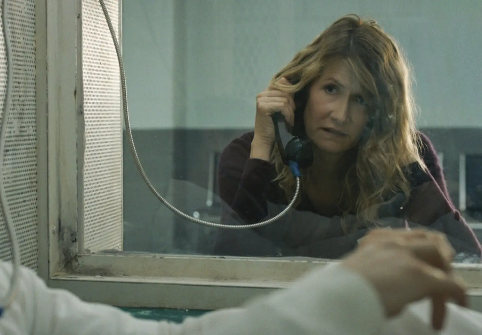 Laura Dern stars in Trial by Fire (Roadside Attractions)