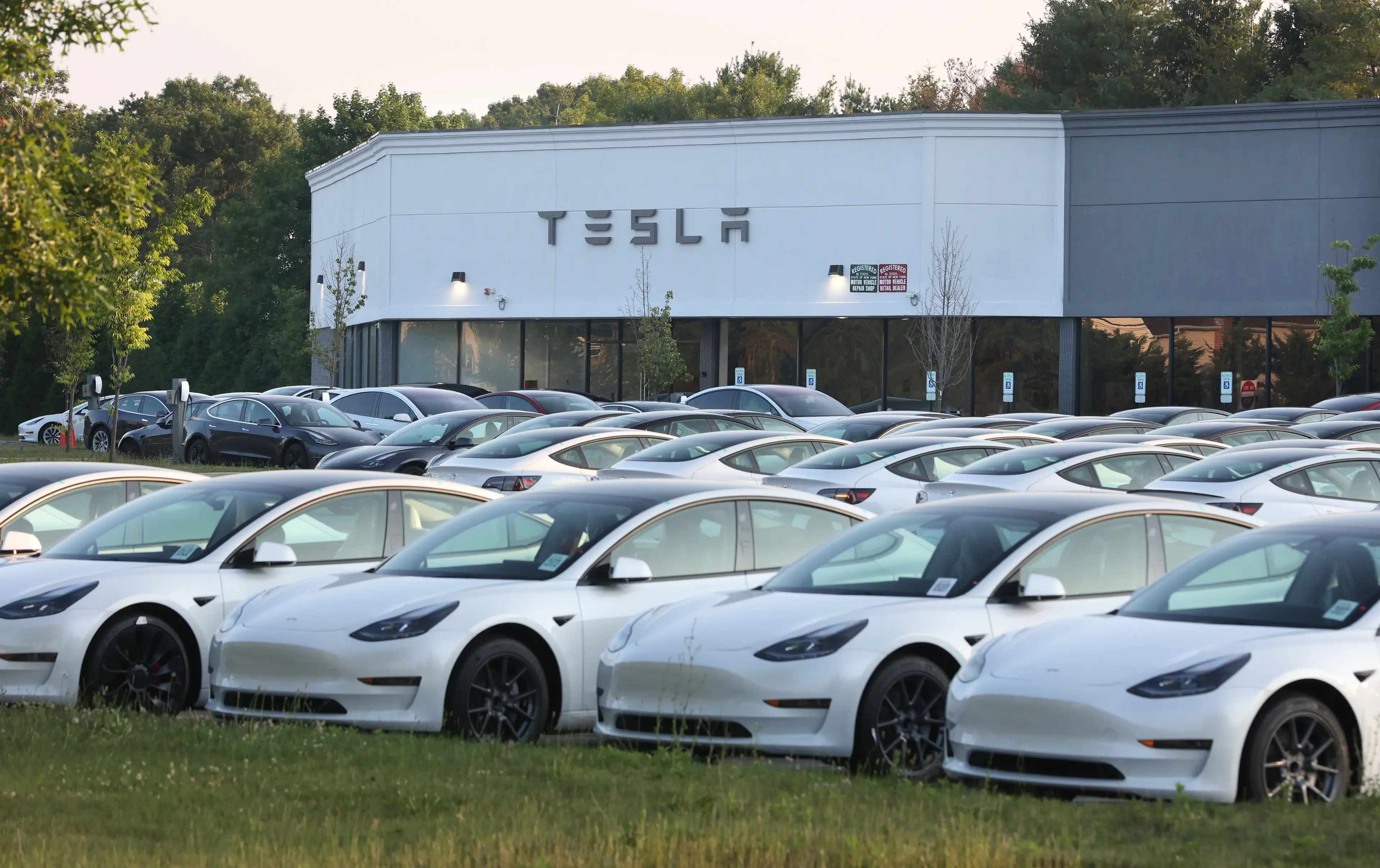 Tesla stock has been falling the last few weeks (John Paraskevas/Newsday RM via Getty Images)