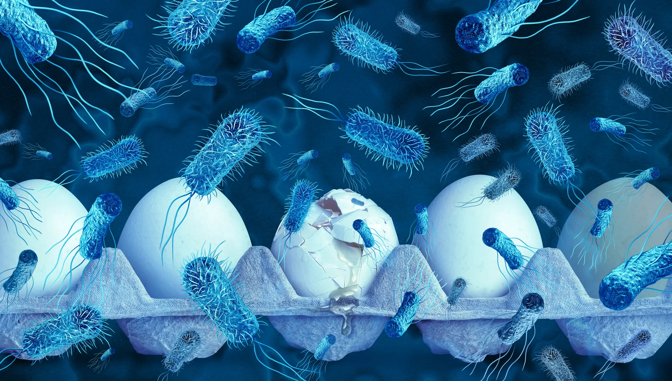 Eggs across the US have been recalled over Salmonella fears (Getty Stock Images)