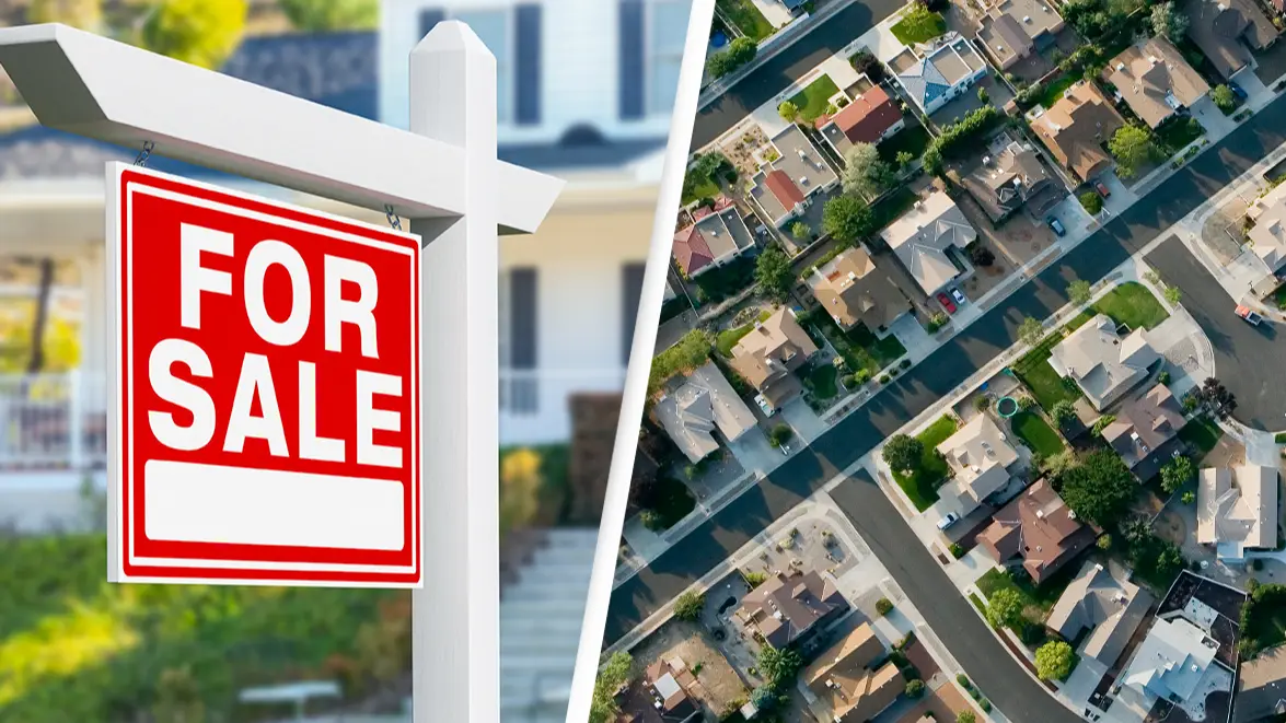 Feverpitched/Getty / David Jay Zimmerman/Getty