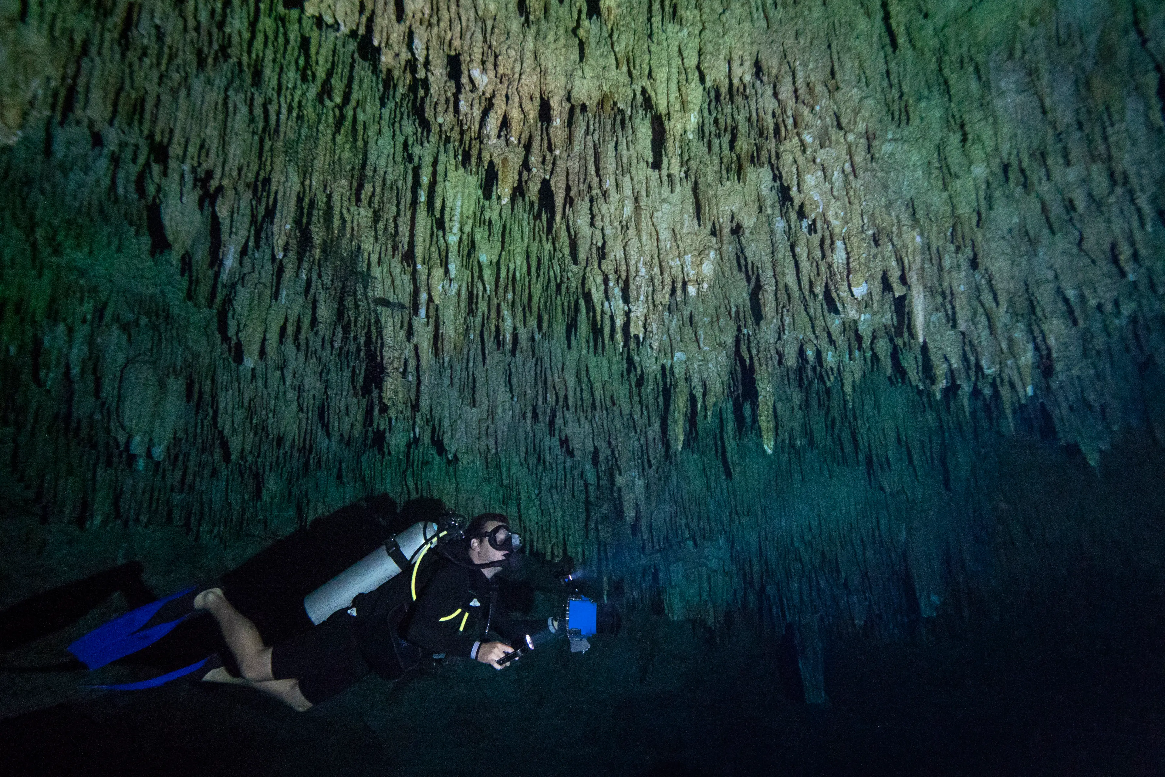 A scuba diver swims under stalactites in a massive underground, underwater cave in the Cenote Taj Maha in Quintana Roo, Mexico.
