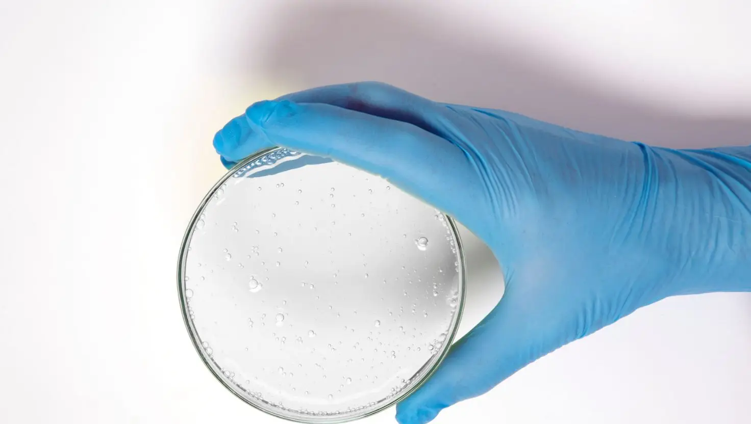 The new discovery could reshape our understanding of cellular evolution (Getty Stock Image)