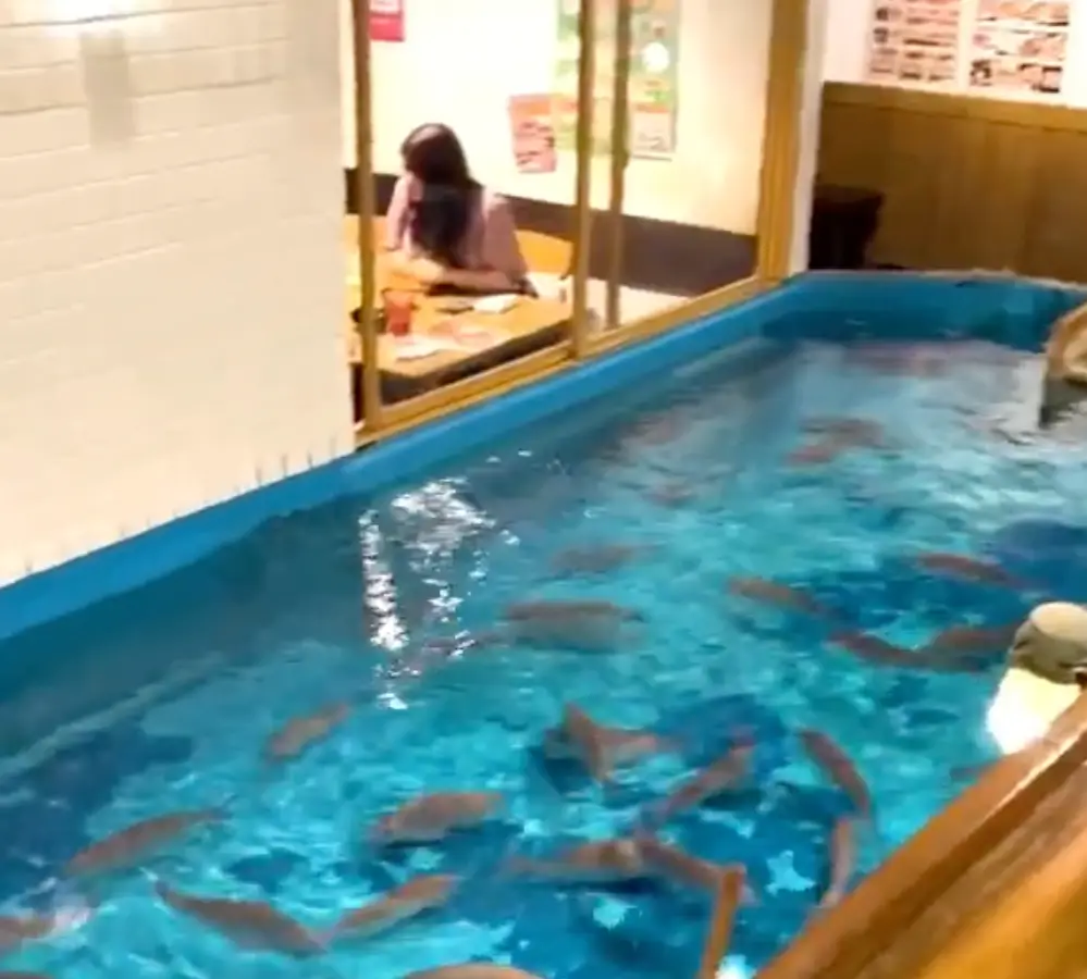 What if the fish don't bite?