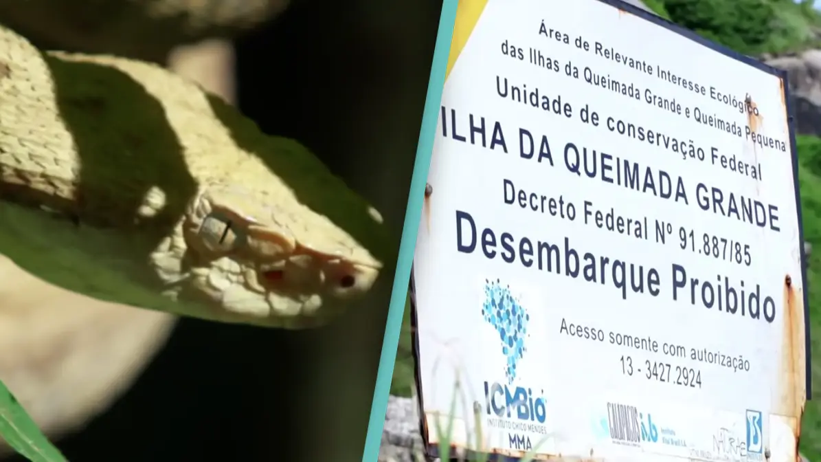 60 Minutes Australia/YouTube