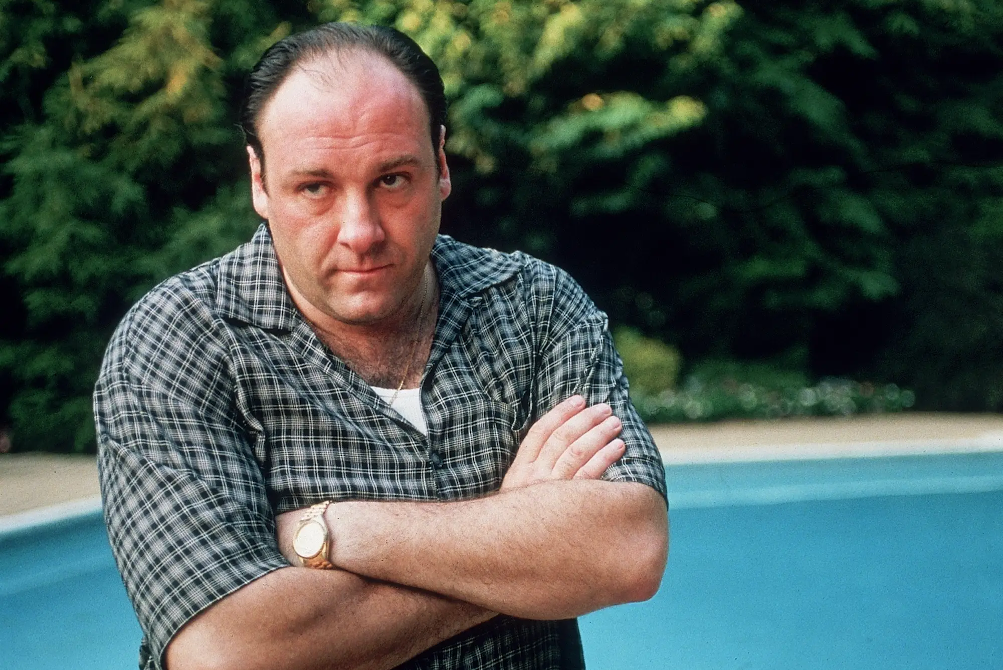 James Gandolfini is best known for playing Tony Soprano (Anthony Neste/Getty Images)