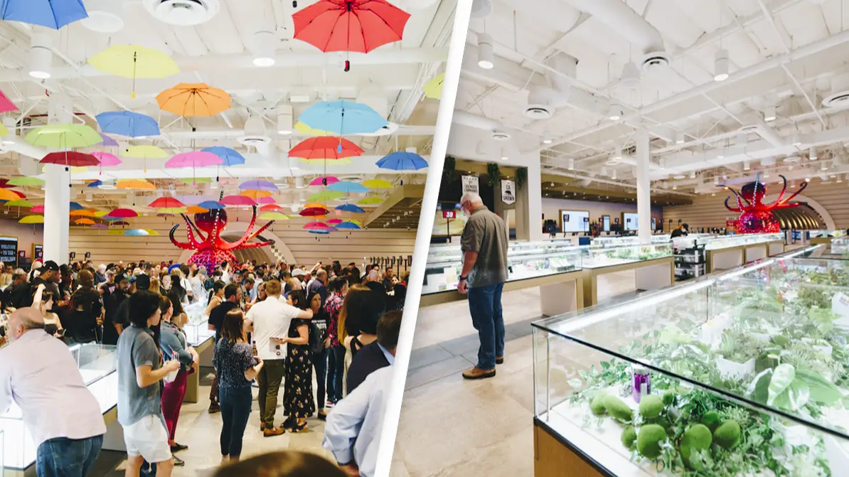 112,000-square-foot cannabis store is largest in the world and is open 24/7, 365 days a year