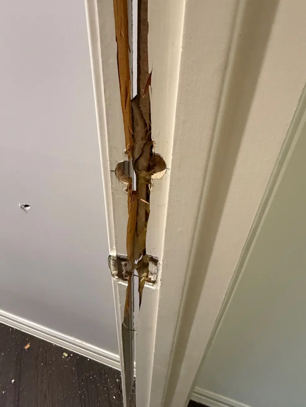 The pictures are certainly disturbing (Twitter/@Amouranth)