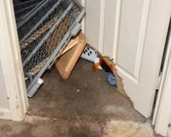 The dogs broke through the bedroom door (Bexar County Sheriff's Office)
