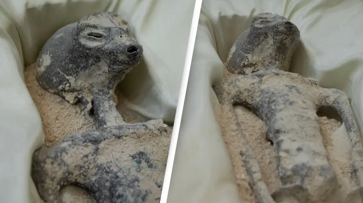 Daniel Cardenas/Anadolu Agency via Getty Images