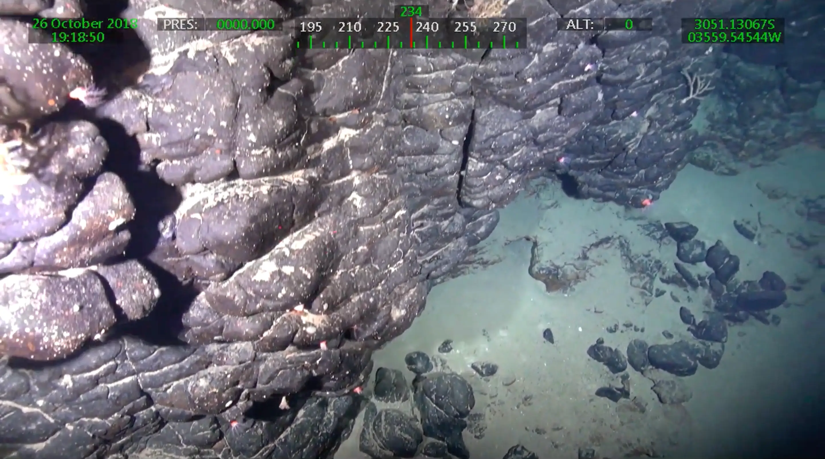 There is an investigation to determine whether Brazil can claim the resources (Researchers’ archive via Agencia FAPESP)