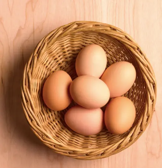 Scientists believe the new research suggests eggs came first (Peter Dazeley / Getty Images)