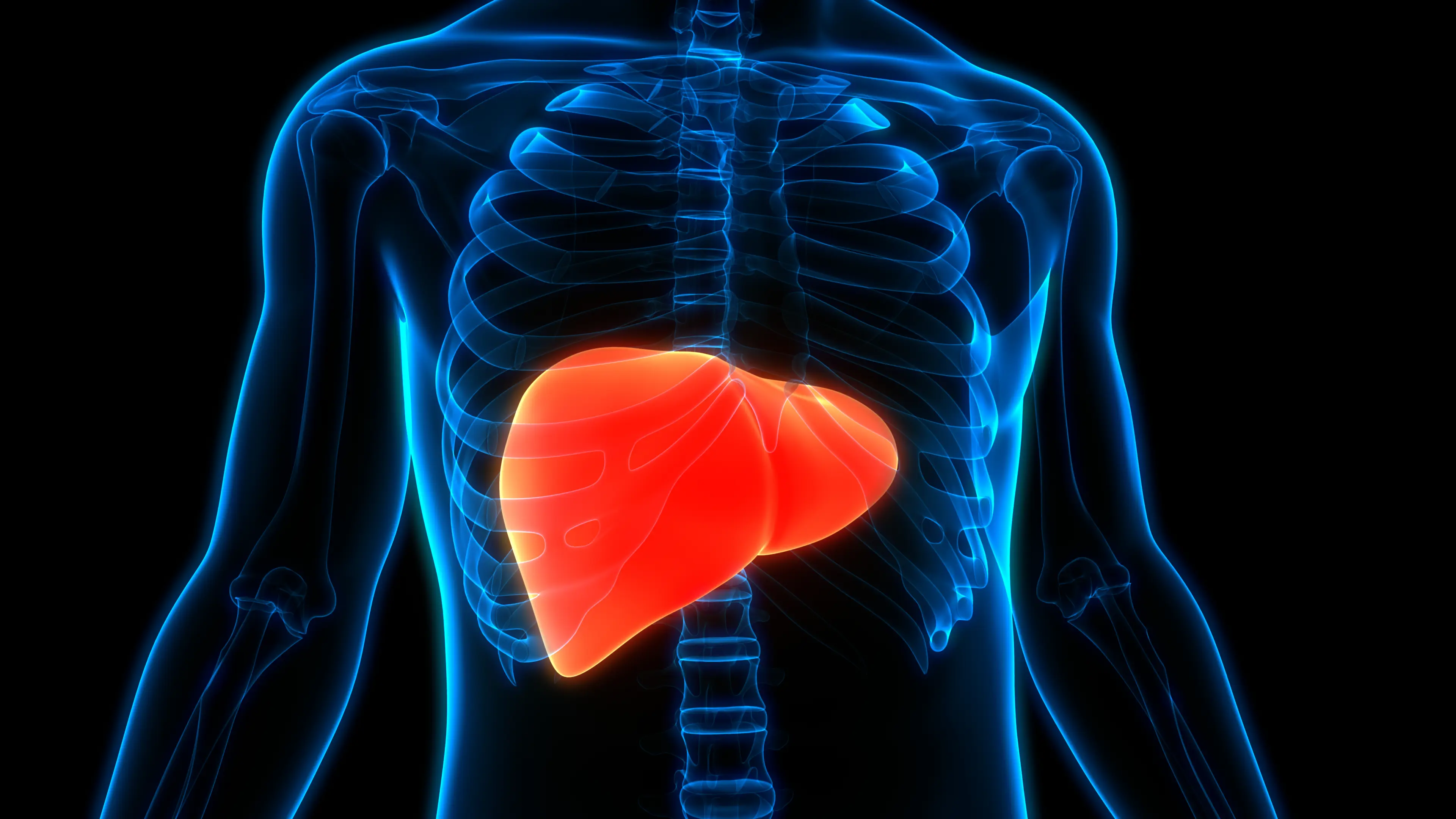 15 million people could be unaware that they have fatty liver disease (Getty Stock Photo)