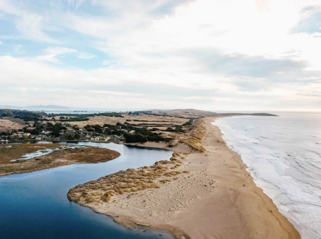 A new development has come to the light in the long-running case (Sonoma County)