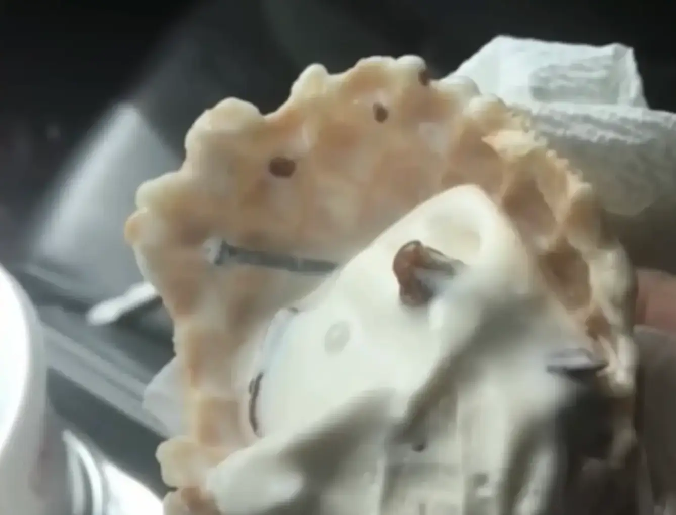 The woman from Florida was met with an unwelcome surprise (WESH-TV)