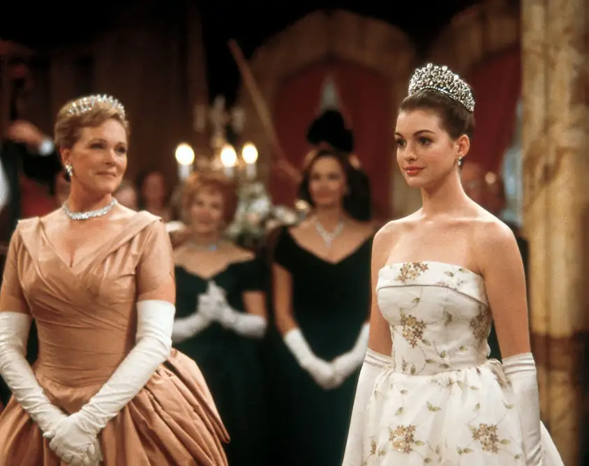 Hathaway rose to fame after starring in the 2001 hit, Princess Diaries (Disney)