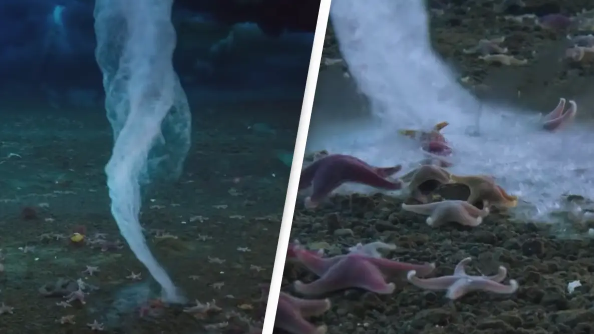 Rare ‘ice finger of death’ that kills everything it touches