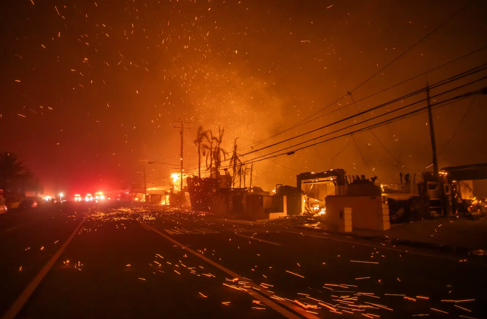 The wildfires have destroyed homes across Los Angeles (Apu Gomes/Getty Images) 
