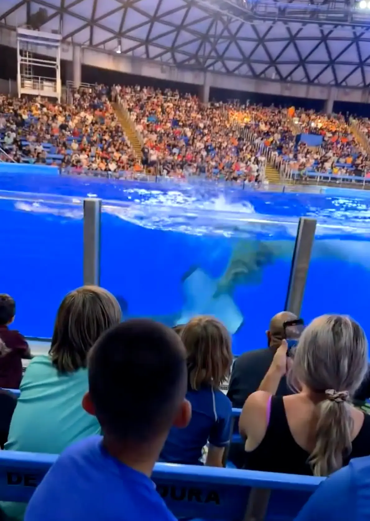 The incident occurred at SeaWorld in San Antonio (X)