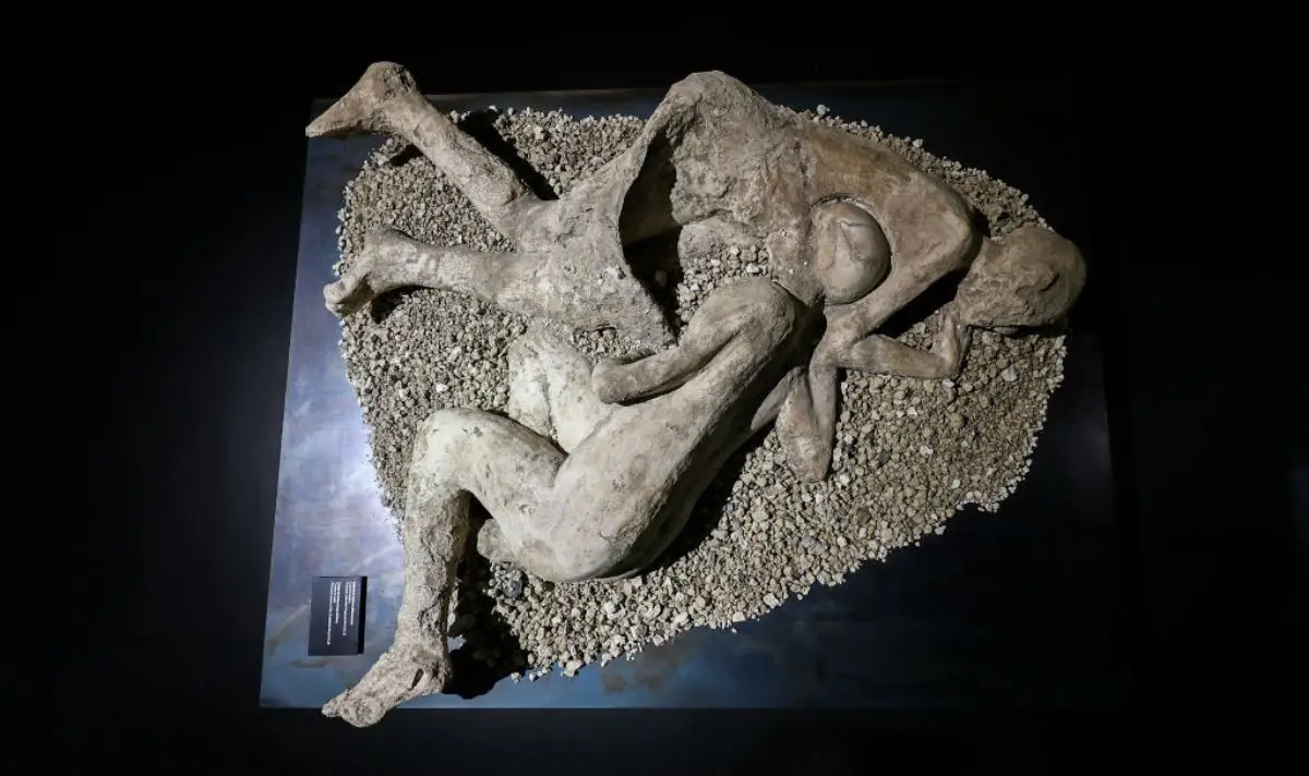 Ancient DNA has been analyzed by top researchers (Marco Cantile/LightRocket via Getty Images)