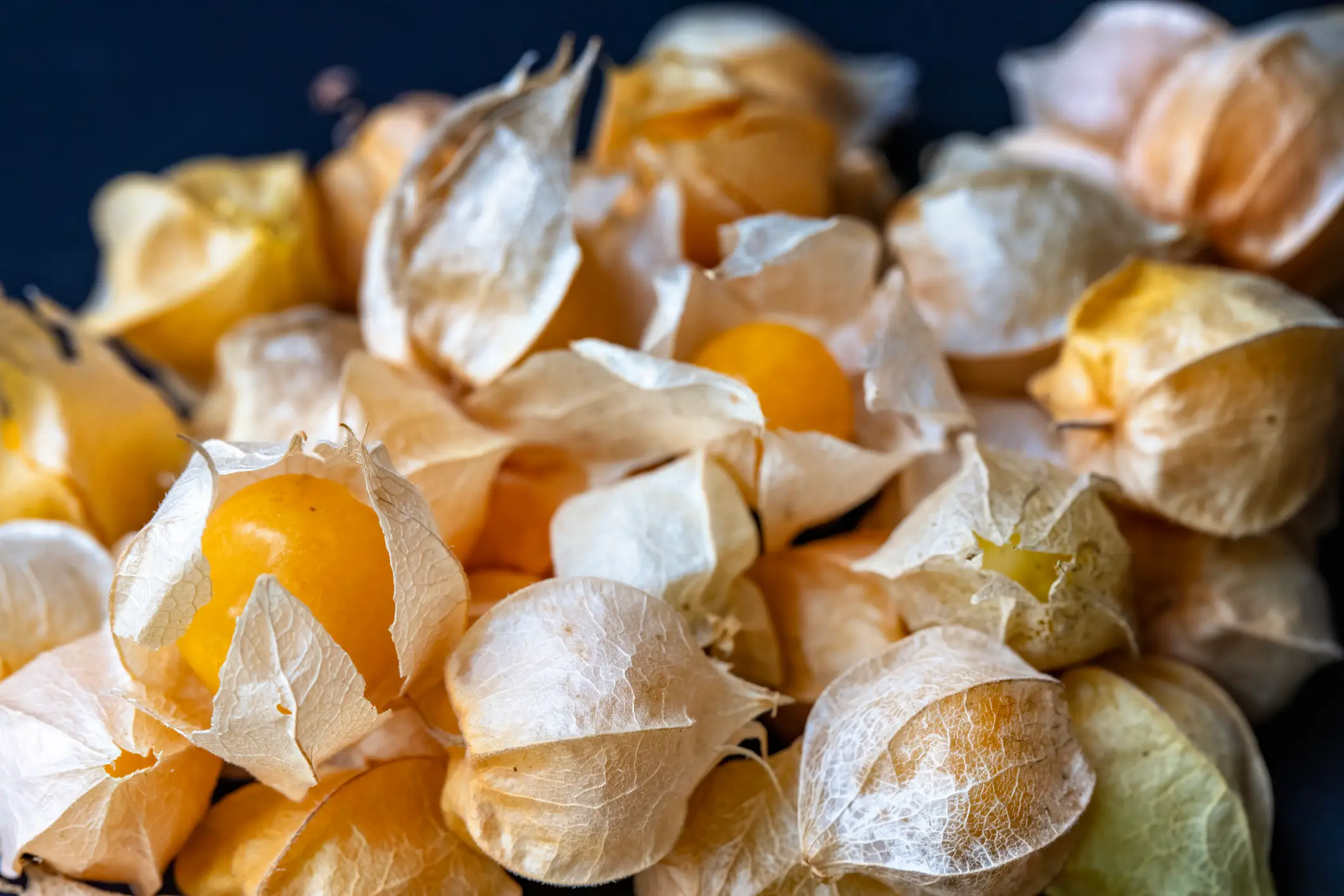 The golden berry is also known as a Cape gooseberry or Peruvian groundcherry.(Getty Stock Images)