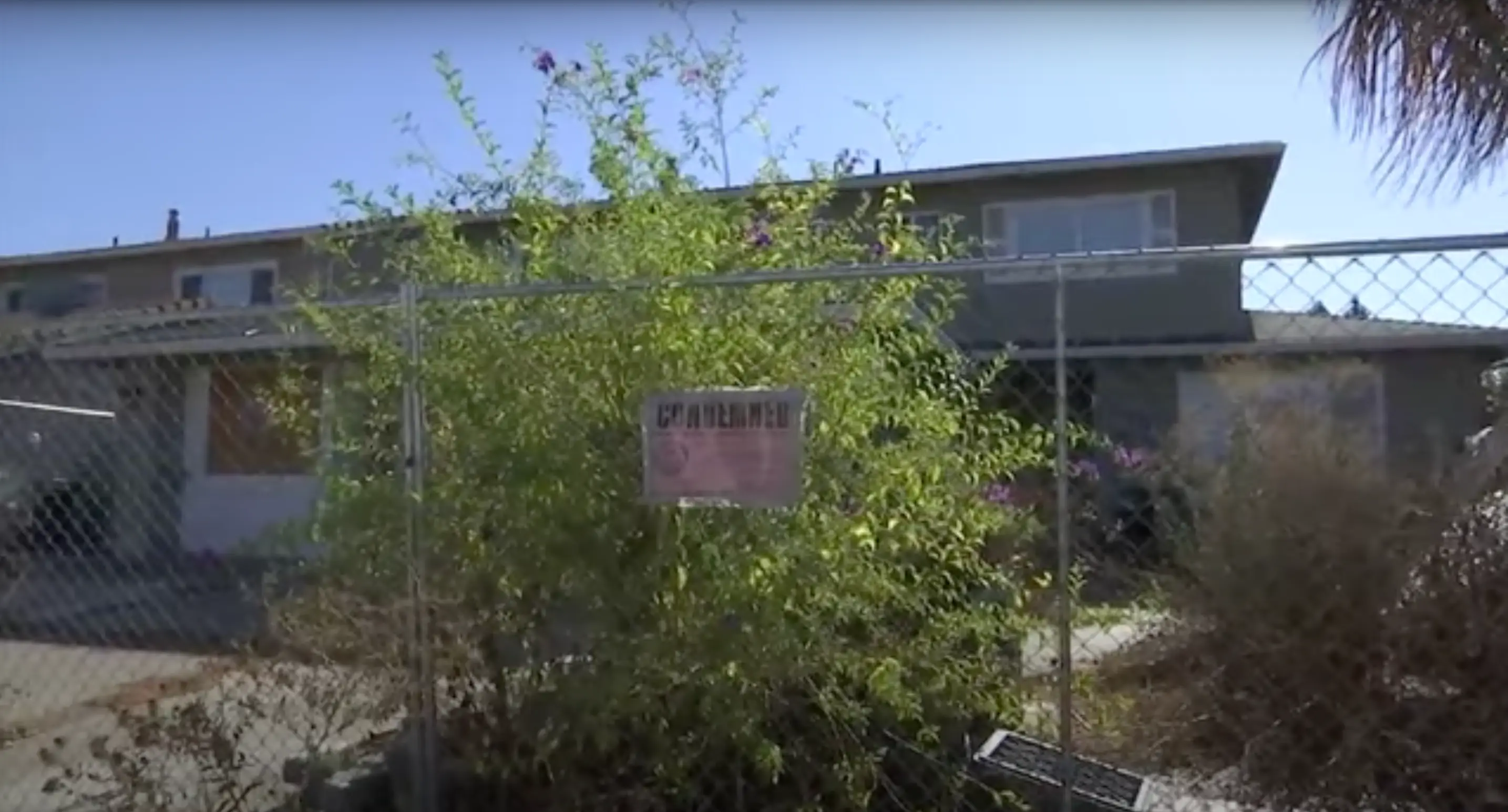 Exterior with feature fence and bespoke window boards.