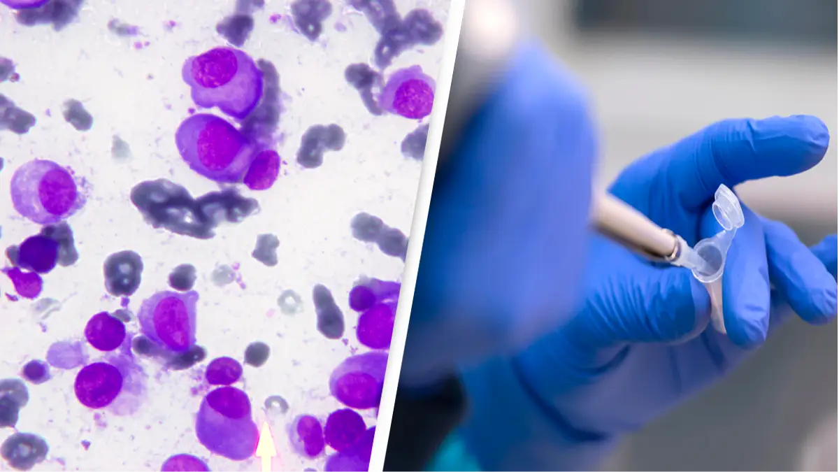 Medicshots/Sergio Azenha/Alamy Stock Photo