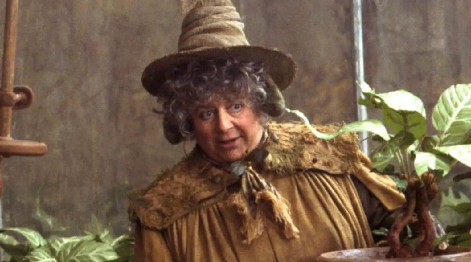 The actress starred as Professor Sprout in two of the Harry Potter movies (Warner Bros.)