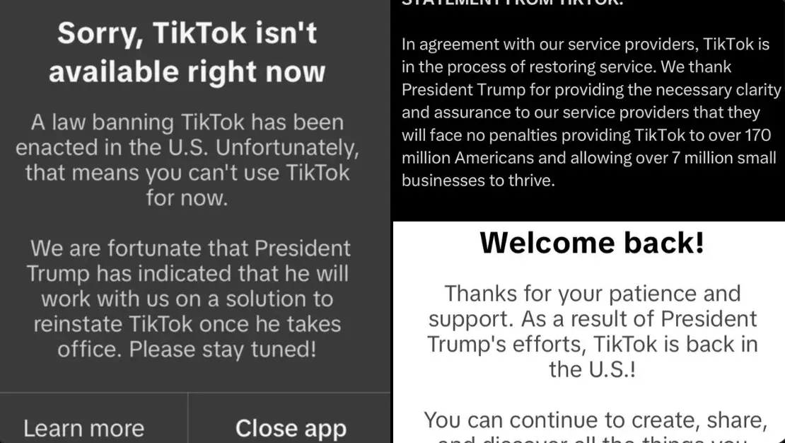 The TikTok statements all share a detail which users say reveals the ban was 'an obvious PR stunt' (TikTok/ Twitter/ @amyewong)   