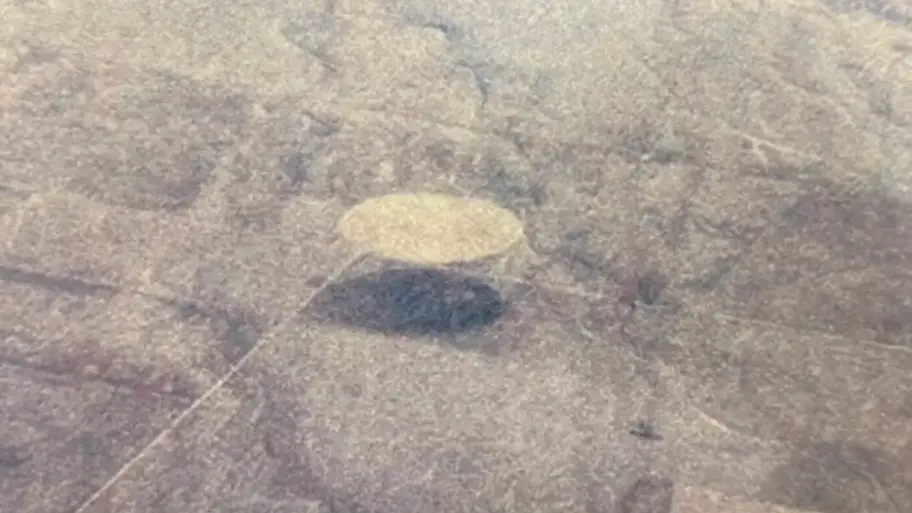 Twitter/UAP Disclosure Fund