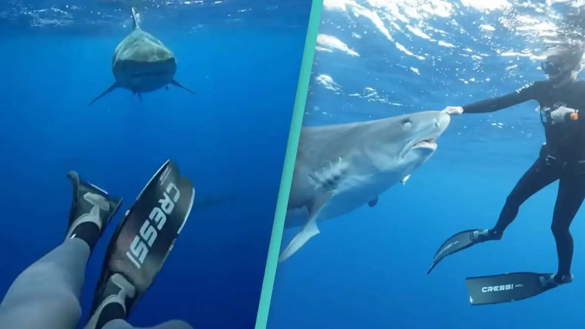 Instagram/@mermaid.kayleigh