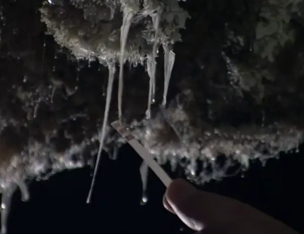 Cox explored the toxic Snottites (BBC Earth Science)