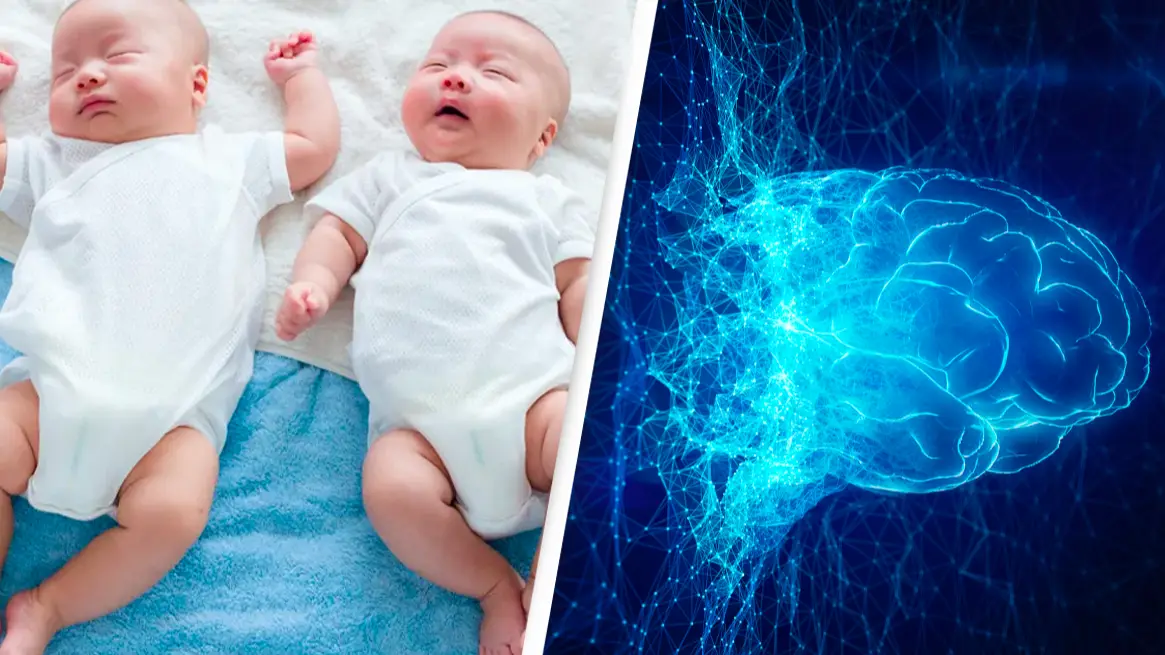 Clarkson University / Getty Stock Image