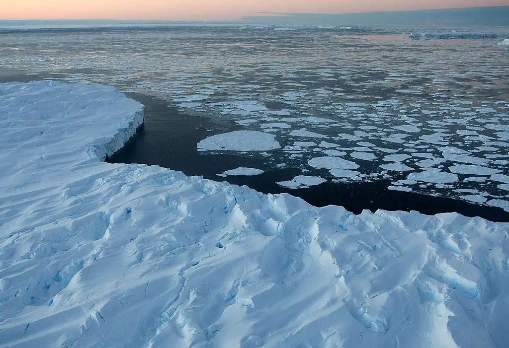 A group of 60 scientists came together to write the paper. (Torsten Blackwood - Pool/Getty Images)
