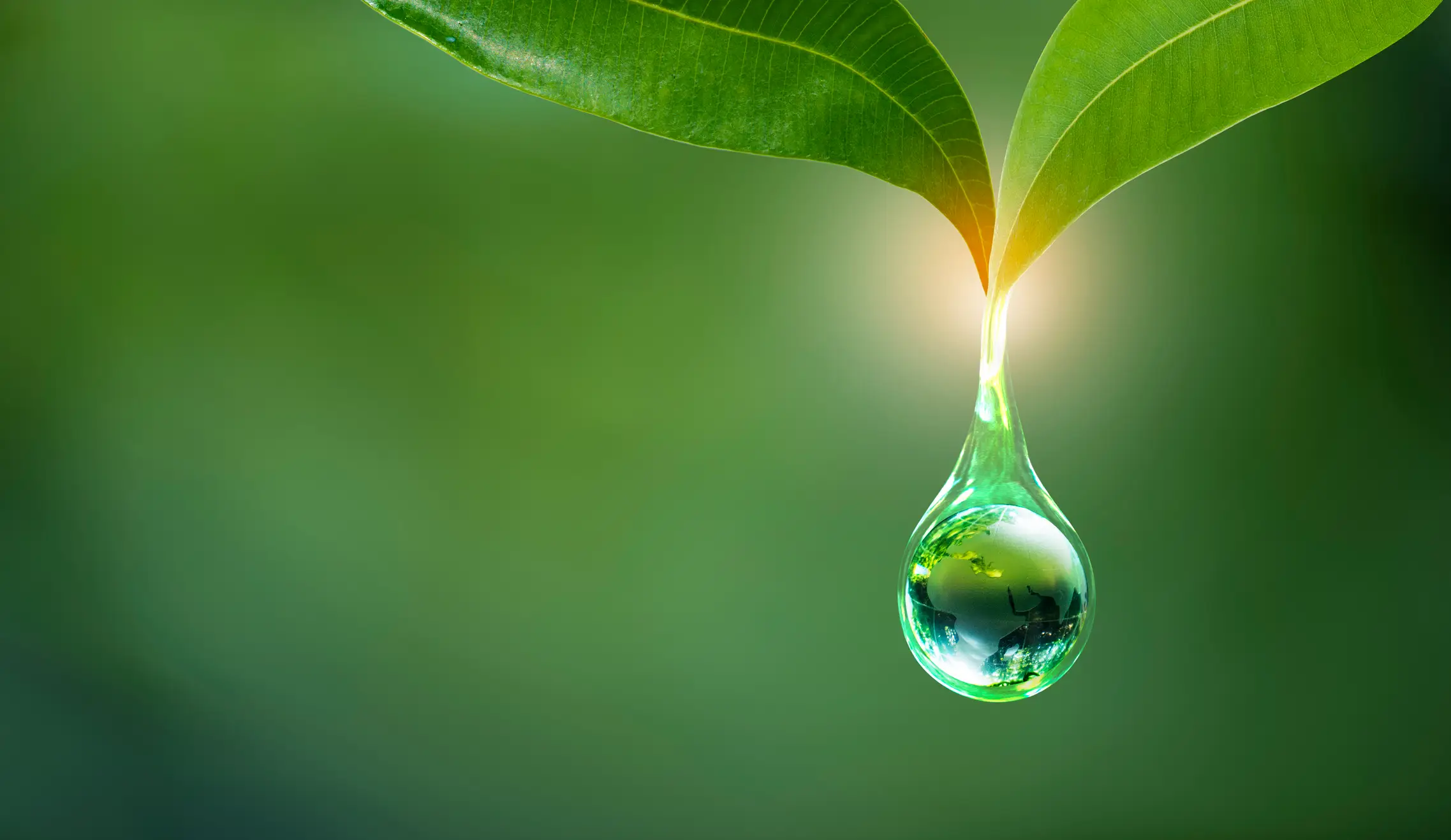 The researchers note water could've been present in the early universe (Getty Images)